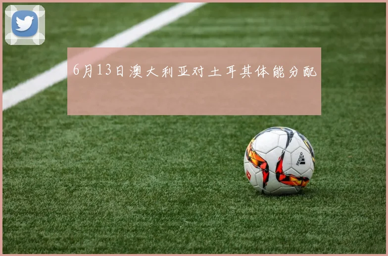 6月13日澳大利亚对土耳其体能分配