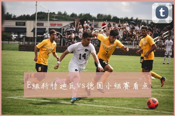 E组科特迪瓦vs德国小组赛看点